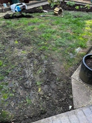 Photo of free Topsoil and some turf (Green Mount BL8)