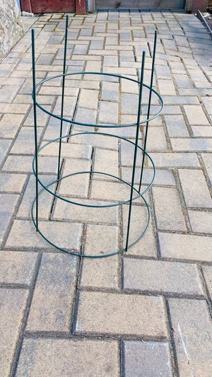 Photo of free Short Tomato/Plant Cage (Central Alameda)