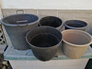 Photo of free Flower Pots and Planters (Old Ottawa East)