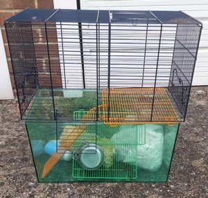 Photo of free Gerbil cage (Horley)
