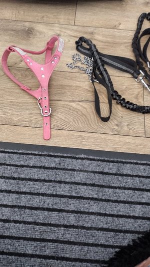 Photo of free Pink diamante × 2 leads (Calow S44)