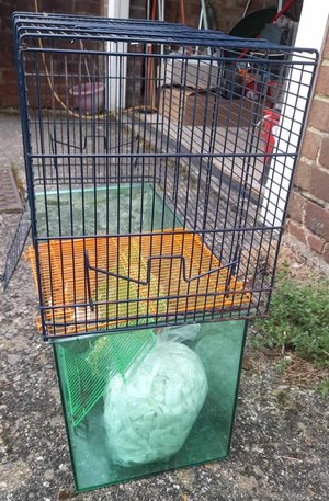 Photo of free Gerbil cage (Horley)