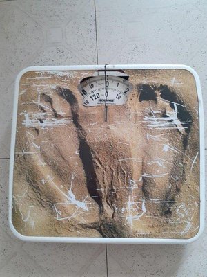 Photo of free Bathroom scales (N17/N18 border)