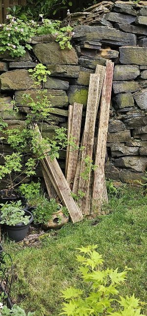 Photo of free Old used decking boards / Fire Wood (Wrose BD10)