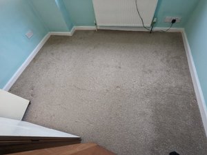 Photo of free Carpet (Holt Park LS16)