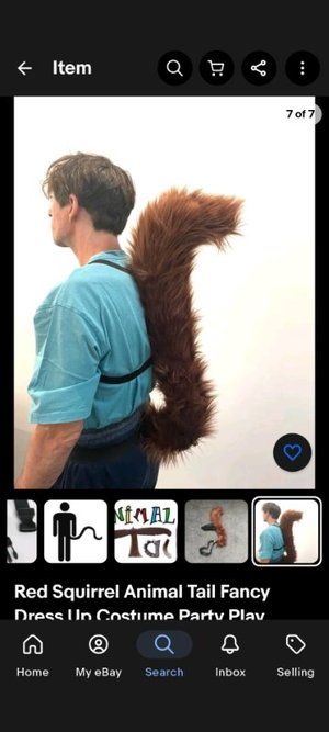Photo of free Squirrel tail as shown! (Woodley RG5)
