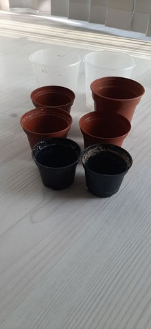 Photo of free Plant pots (Craven Road CV21)