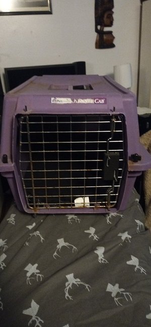 Photo of free Pet carrier (East Beechwood area)