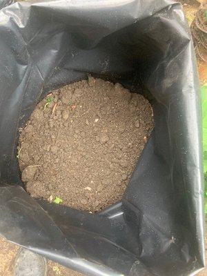 Photo of free top soil (Lower Weston)