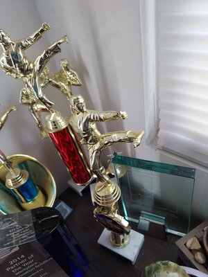 Photo of free Trophies/Awards of various kinds (palisades Park)