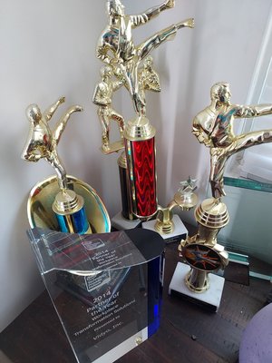 Photo of free Trophies/Awards of various kinds (palisades Park)
