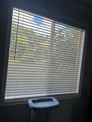 Photo of free White Faux wood blinds (East Roseville)