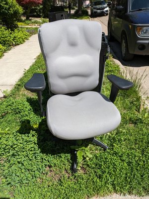Photo of free Fancy office chair (Near South)