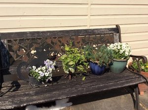 Photo of free Garden bench. (The Hythe CM9)