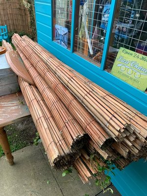 Photo of free Bamboo screening around 30ft worn (Sothall S20)
