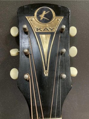 Photo of Kay guitar parts (Mount Morris)