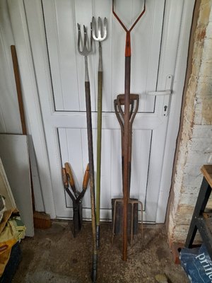 Photo of free Garden tools (Elmhurst WS13)