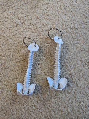 Photo of free Spine keychains (Hopkinton/Upton line)
