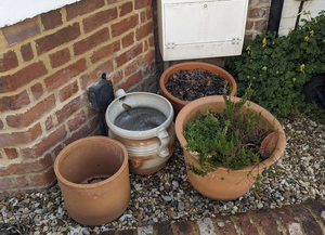 Photo of free 4 plant pots (OX4 Boulter Street)