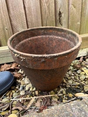Photo of free Single 8inch terracotta plant pot (Denvilles PO9)
