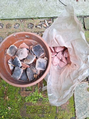 Photo of free BBQ briquettes (not charcoal) (Hurontario and South Service)