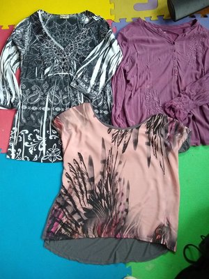 Photo of free 3 women's tops size XL (downtown Downers Grove)