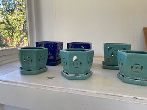Photo of free 6 matching orchid pots (Downtown)