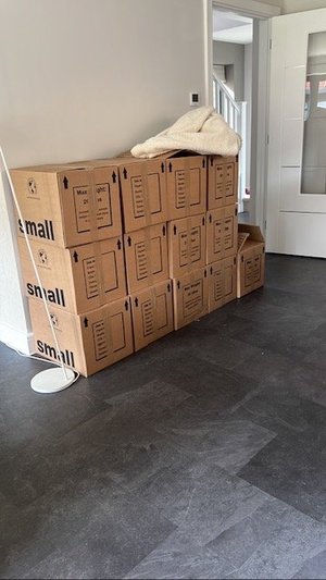Photo of free Job lot of cardboard packing boxes (Whitemans Green RH17)