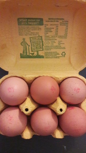 Photo of free Eggs (Birmingham City Centre)