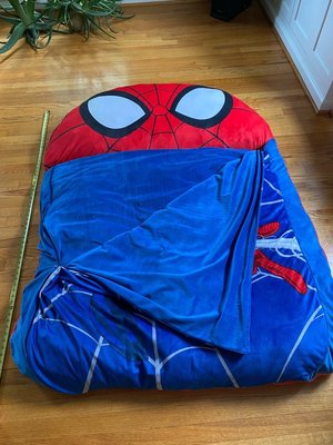 Photo of free Spider-Man Floor Cushion Sleeper (Wooton High School)