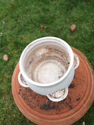 Photo of free Various plant pots (Willey Green GU3)