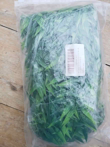 Photo of free Plastic leaves (Great Asby CA16)