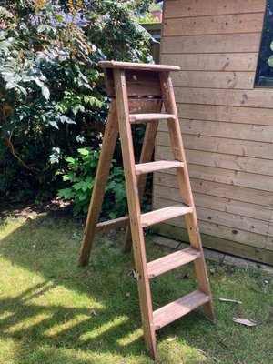 Photo of free Step ladder (Emlyn Gardens W4)