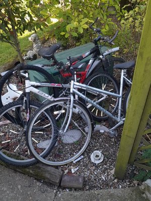 Photo of free Bikes (Tilbury RM18)