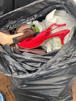 Photo of free Size 6 ladies heels and trainers (SW20)