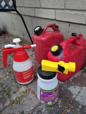 Photo of free Gas cans (M2J1Y3)
