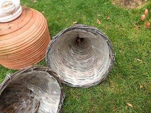 Photo of free Various plant pots (Willey Green GU3)