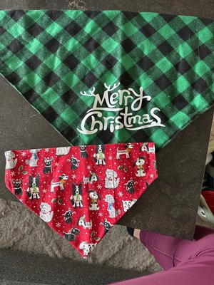 Photo of free Christmas dog scarves (Bethesda)