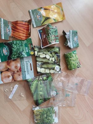 Photo of free Various seeds (Willey Green GU3)