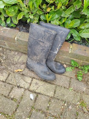Photo of free Wellington boots (Gidea Park RM2)