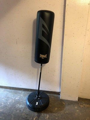 Photo of free Everlast punch bag (PA1)