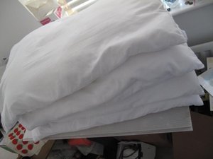 Photo of free Polyester pillows (Woodstock OX20)
