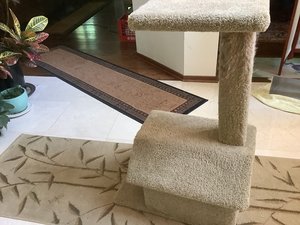 Photo of free Cat House Scratching Tower (Oakbrook 38th Meyers)