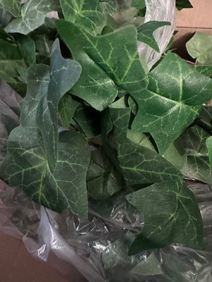 Photo of free Artificial Ivy (Crestwood)