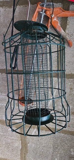 Photo of free Squirrel-Resistant Bird Feeder (CT10)