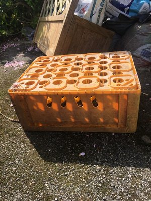 Photo of free Beer bottle crate (HG2)