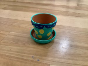 Photo of free Flower pot with saucer (The Glebe)
