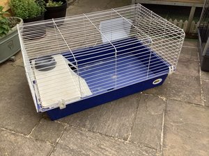 Photo of free Indoor guinea pig/rabbit hutch (Harrogate HG1)