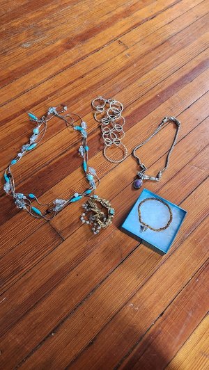 Photo of free Costume Jewelry (Prospect park south)