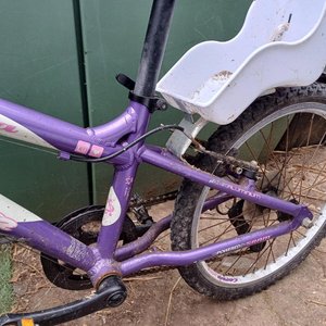 Photo of free Kids purple bike (TN38 Bulverhythe)